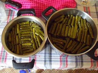 Sarma Nasıl Pişirilir?