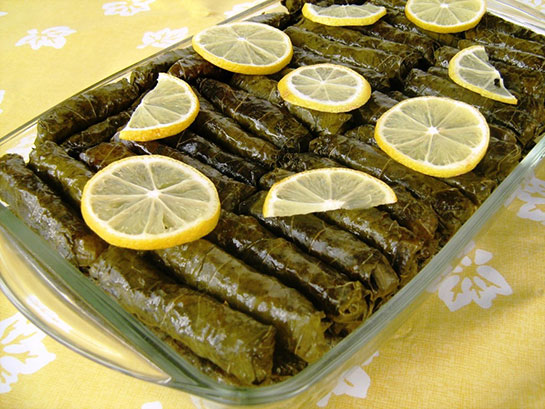 Dolma Sarma